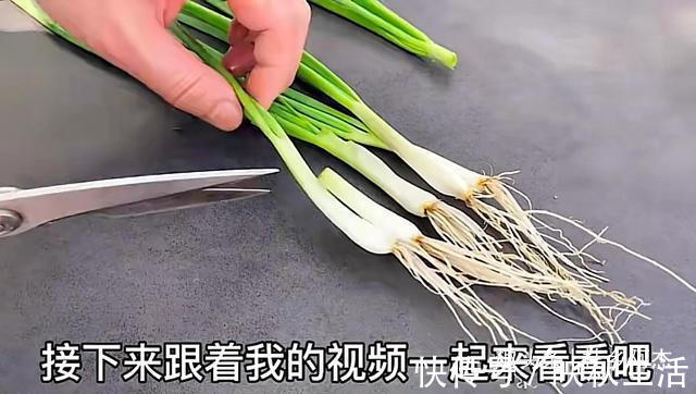 挥发油|扔葱根等于扔钱,葱根原来是个宝,作用这么厉害,太实用了