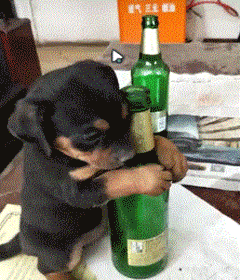 |搞笑GIF:下大雨的时候我们全班男生只需要一把伞就够了,你信不?