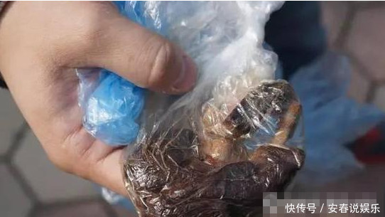 医生|剖腹产后没多久,肚子竟还是大如球,医生再次手术时也惊出一身汗