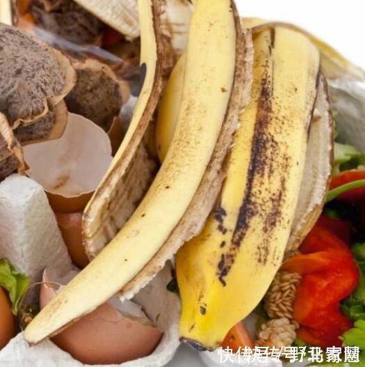 gt|她往花盆里加点这个，再也不怕积水烂根，3天黄叶变绿叶