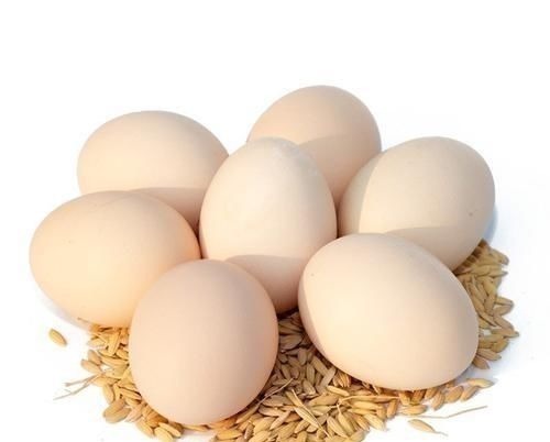 差别|鸡蛋、鸭蛋、鹅蛋、鹌鹑蛋……营养差别大,不知道亏大了