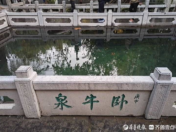 景区|泉水多多，趵突泉景区新添一条“小河”