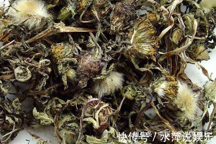 乳腺结节|中医蒲公英配它“天生一对”,坚持7天肾变强,肝干净口臭没!