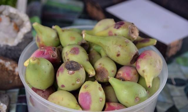 中国无人问津的水果,2元一斤卖不出去,国外80元一斤被疯狂抢购