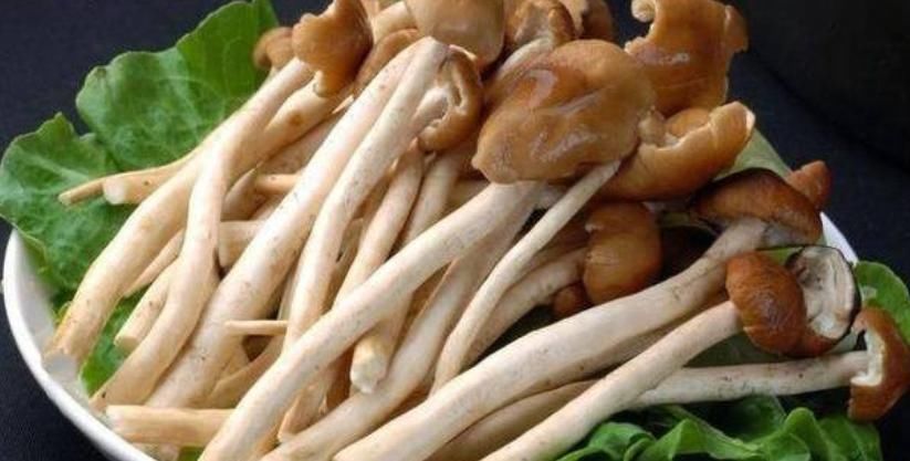 延緩衰老|女性不想變黃臉婆，堅(jiān)持食用3種食物，滋養(yǎng)肌膚，排毒養(yǎng)顏