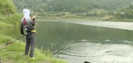 鱼竿被拖后,又会被鱼拉回岸边?不是鱼累了,是它太聪明!
