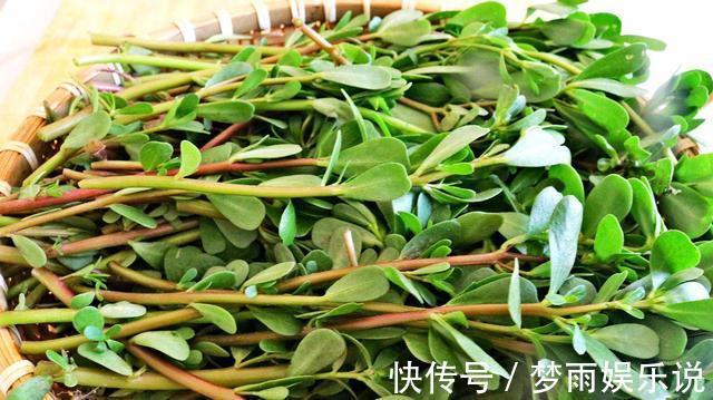 马齿苋|田间常见的“恶性杂草”,很招人烦,殊不知炖汤味更鲜,还大补