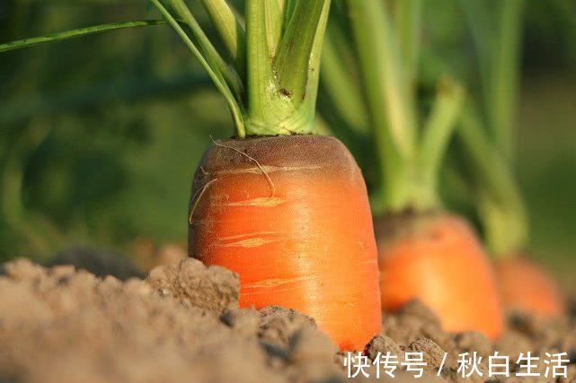 常吃|长期便秘太遭罪常吃这5种食物，轻松通便，“清洗”肠道防便秘