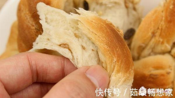 胚乳|自制花式核桃面包，了解面粉一点知识，能提高制作面食的成功率