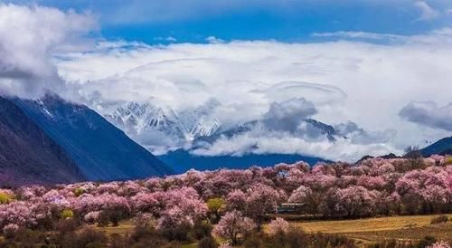 国内这些美如画的目的地，随手一拍都是大片