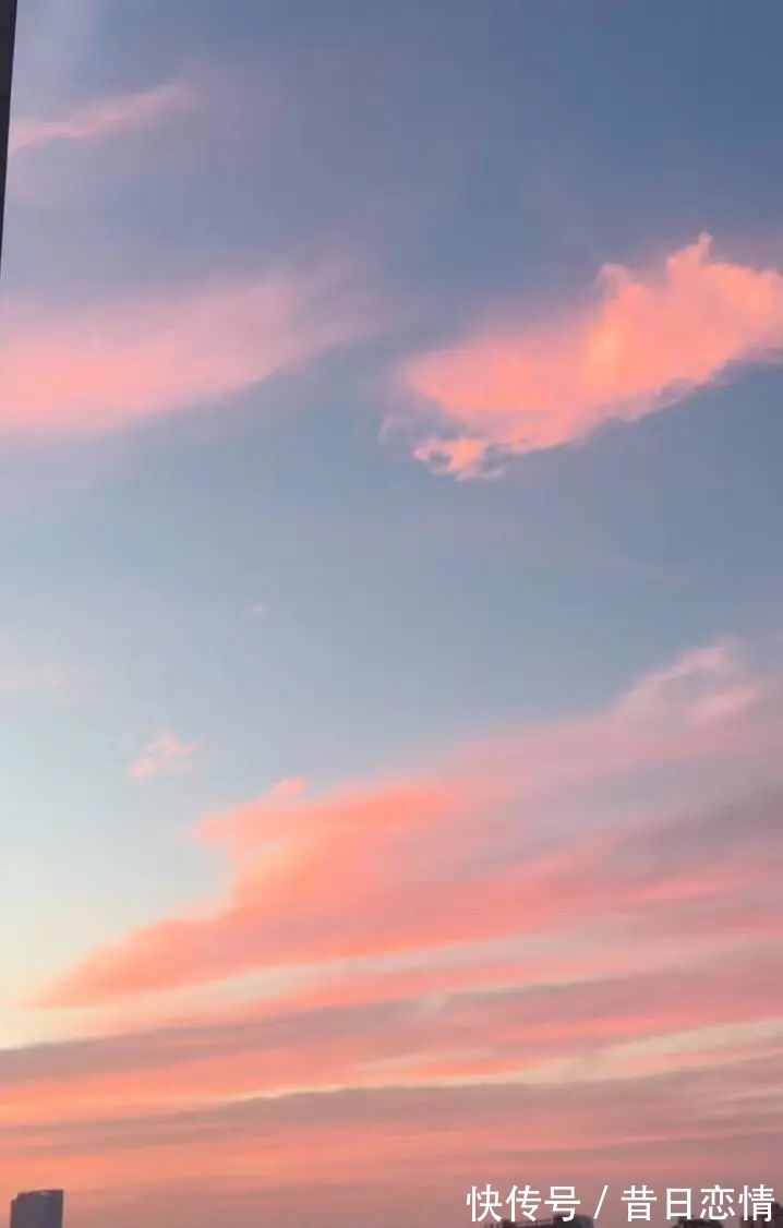 诗句|当年背到头秃的古诗,瞬间读懂了……