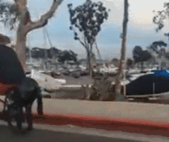 |搞笑趣图:有这样的媳妇,没法好好睡觉了