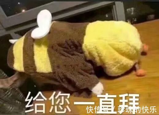 拜年|必存!新年拜年表情包丨第310期热门表情包