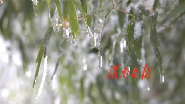 云似盖 雪如尘 少华山美似仙境