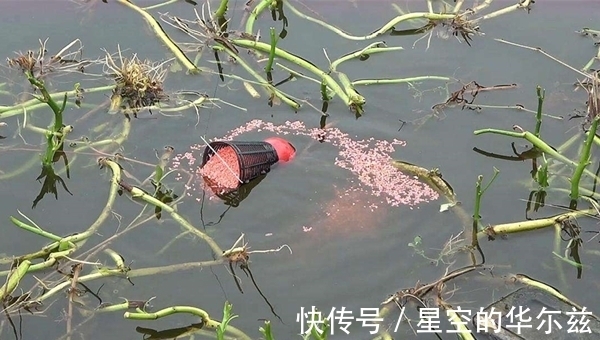 野钓聚鱼是难点,科学打窝的几个方法,让鱼越聚越多,狂拉到手酸