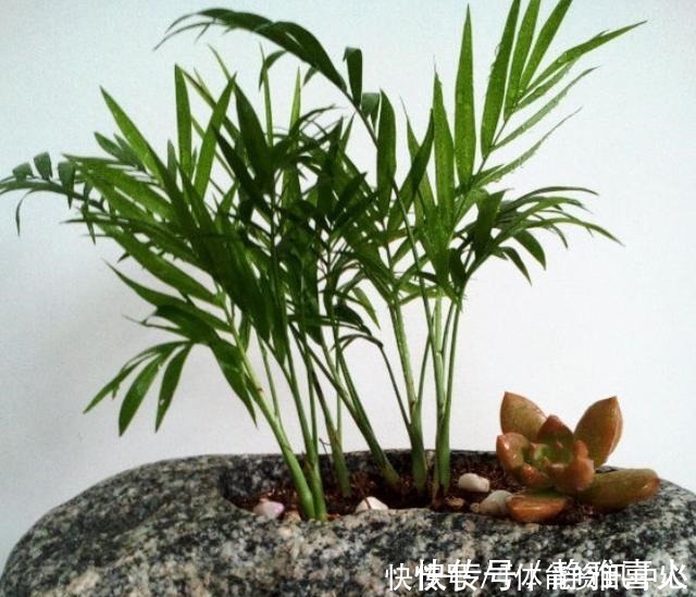 切割机|花盆买不起，自己动手做，好看又实用！花盆买不起，自己动手做，好看又实用！