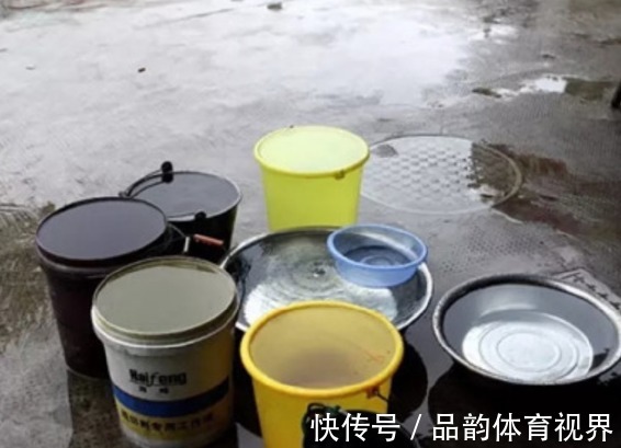 追肥|怕盆栽土硬邦邦，浇水追肥时就用它们，不仅变软了，而且肥力十足
