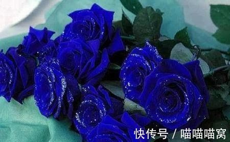 木克土|恭喜,四生肖惹不起,八十一难已过,添丁又添财,扬眉吐气变富豪