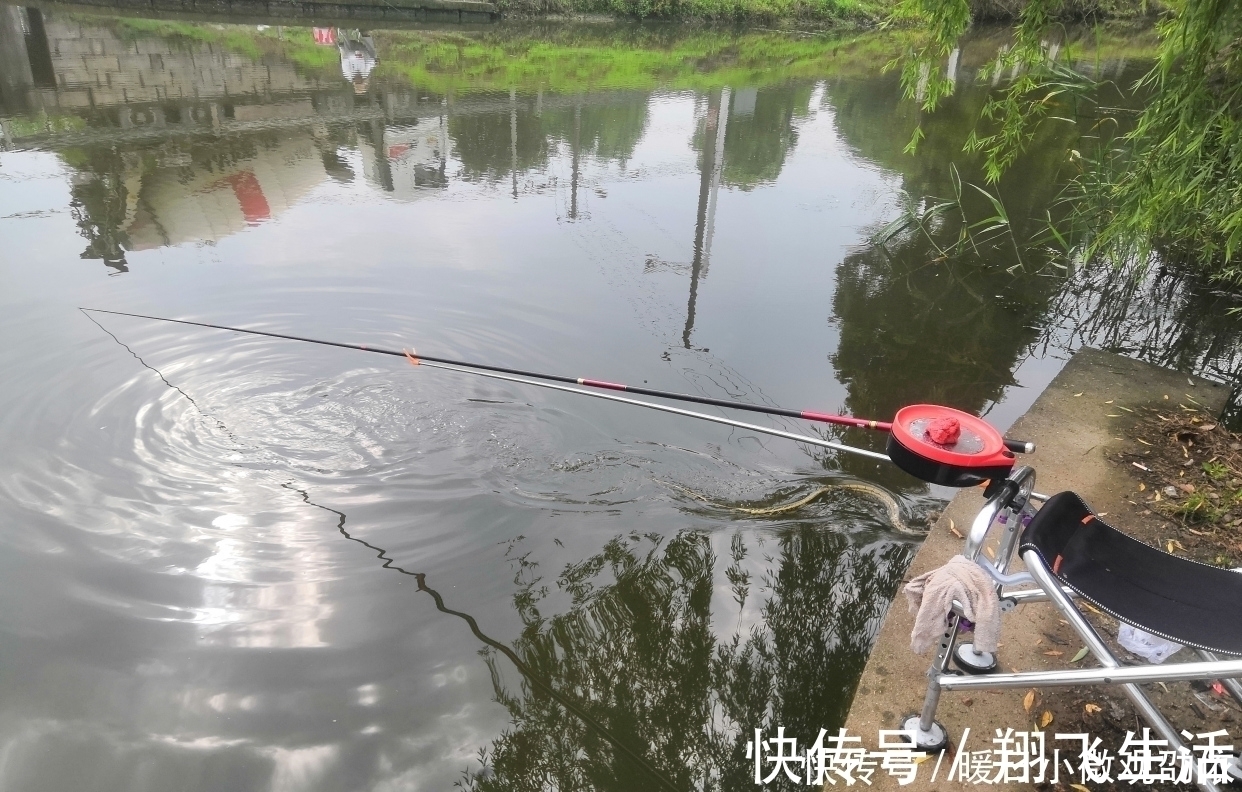 对于夏天漂浮的鲫鱼，很多人都无能为力；这三个举措已经反复尝试
