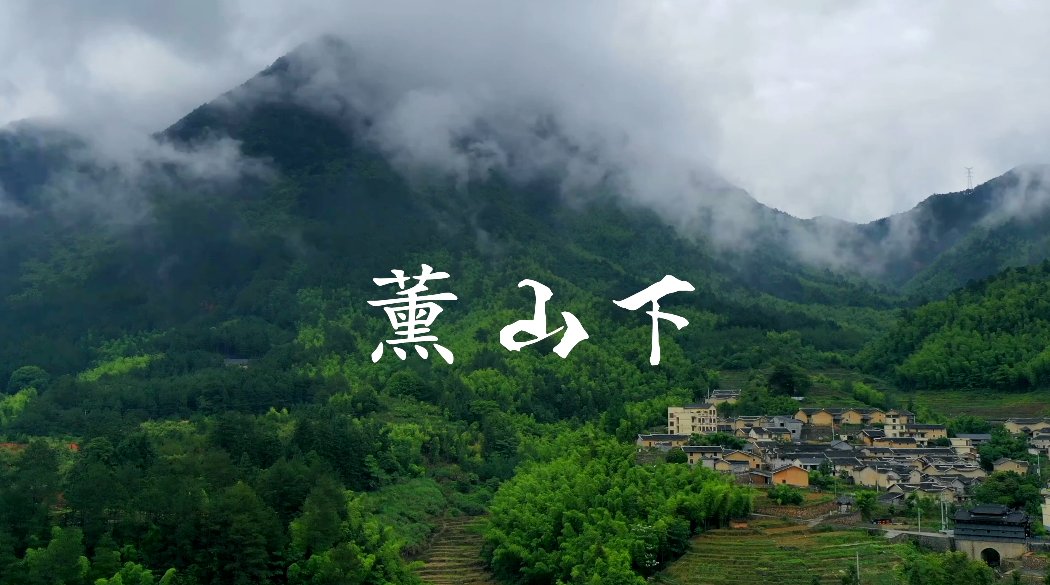 庆元县|茶旅融合 · 美丽薰山下 古朴清幽安逸