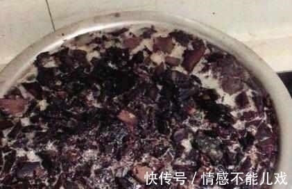 盆栽|什么阿司匹林、维生素都不如“1块它”,掰碎扔盆里,壮根挤破盆