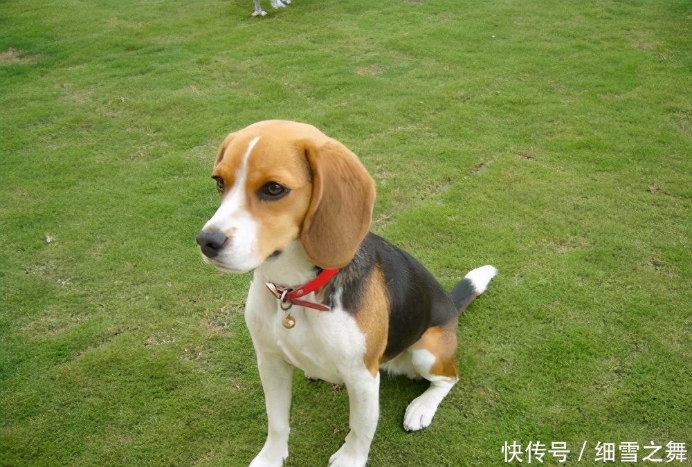 基金收益哈希娱乐- 哈希游戏平台- 哈希游戏官方网站排行_天天基金网