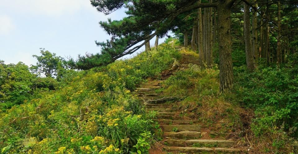 主峰|横跨鄂豫皖三省的大别山，其主峰究竟在哪？它又有什么值得称道？