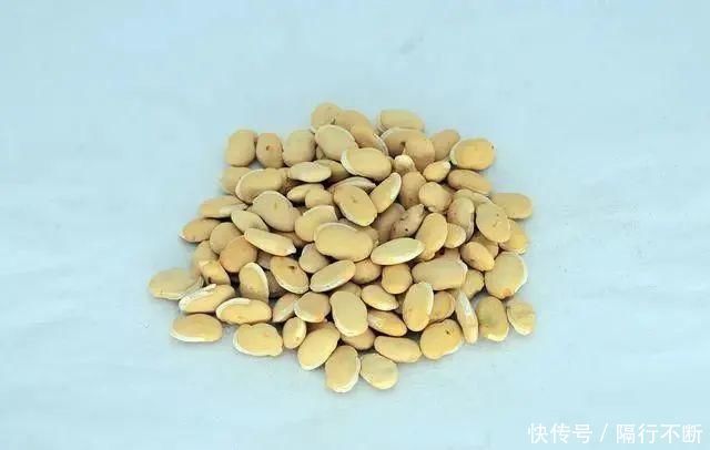白扁豆|湿气重？牢记：少碰“三物”，多吃“四白”，祛湿排毒，一身轻松