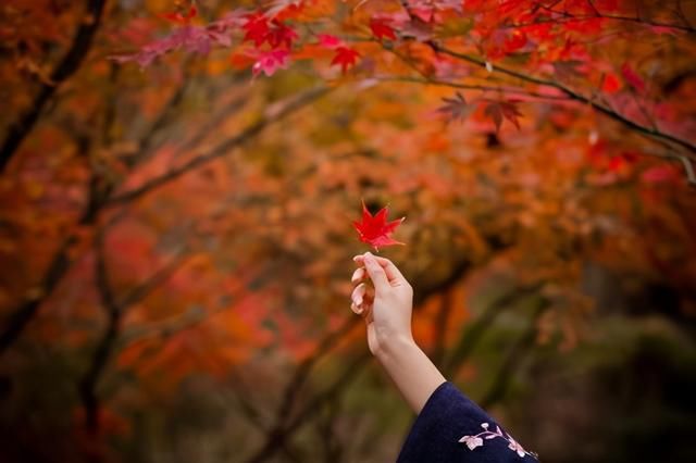 江南最美赏秋地：乾隆来过5次就在南京，被誉“金陵第一明秀山”