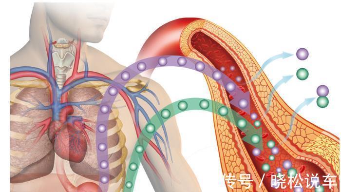 医生|医生直言:患有糖尿病,光降血糖没有用,减少胰岛素抵抗才是关键