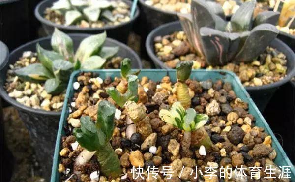 要想成为一名合格的肉友,你还需要知道这些黑话