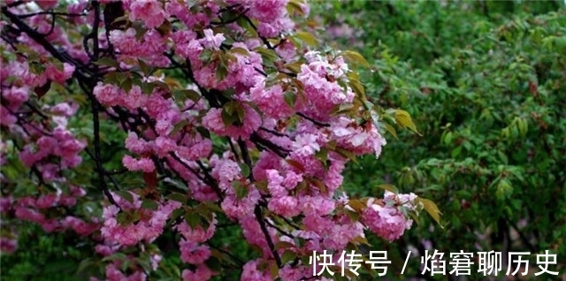 春雨$春雨相思词:柳丝长,春雨细,梦长君不知