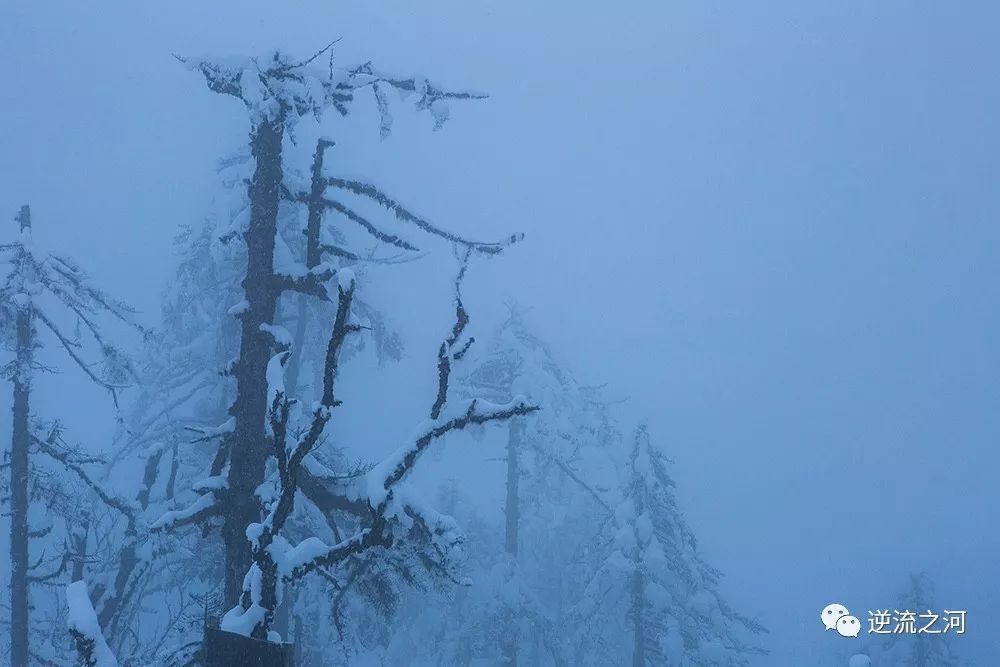  冬季到西藏，探寻山谷里的居民