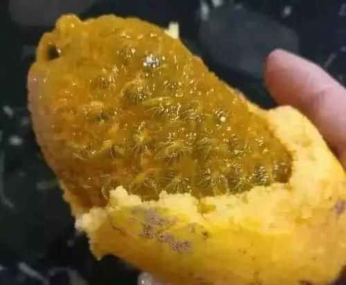 好吃美容的食物，女人坚持吃，减肥瘦身，促进消化，改善皮肤粗糙