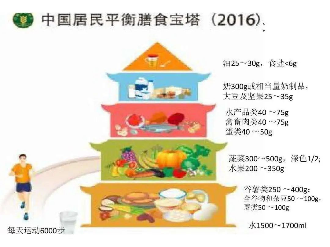 中国居民膳食指南|营养素是健康保障，但真的越多越好吗？