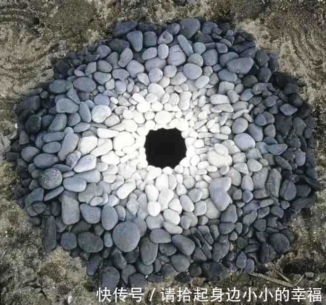 艺术家|他用最简单的树叶、石头、羽毛,建了一座美到极致的自然美术馆