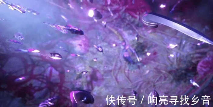 小舞|斗罗大陆唐三喜提铠甲,弹幕比正片还要精彩,想象力太丰富