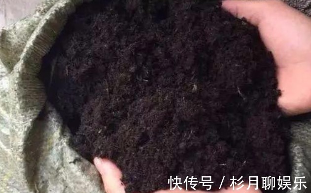 涨势|养花就用几种“神器”，花盆不积水，植物涨势好不烂根