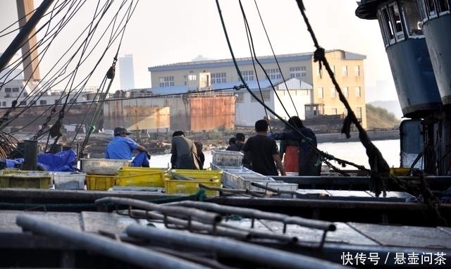 吃海鲜|吃本地海鲜最佳的地方,价格超级实惠品种多,几块钱一斤就能买到