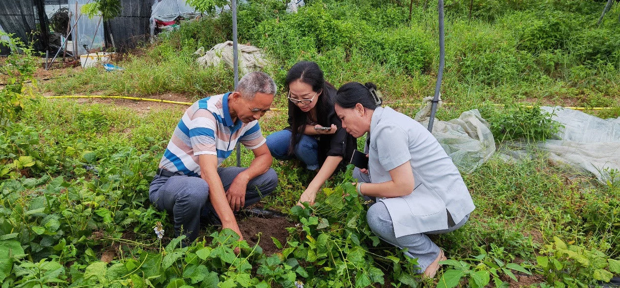 万万没想到（华南农业大学）华南农业大学 2023 樱花