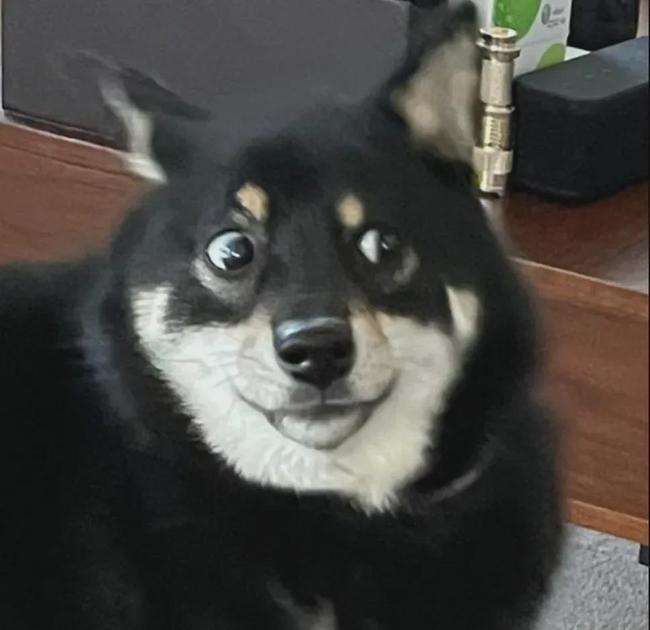 |精选段子:平生最讨厌阿谀奉承,溜须拍马的人