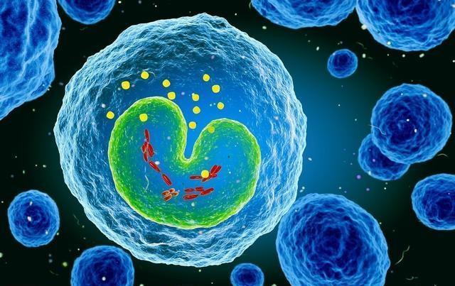 不良情绪|癌症和生气有关系吗原来经常有负面情绪的人,患癌率真的很高