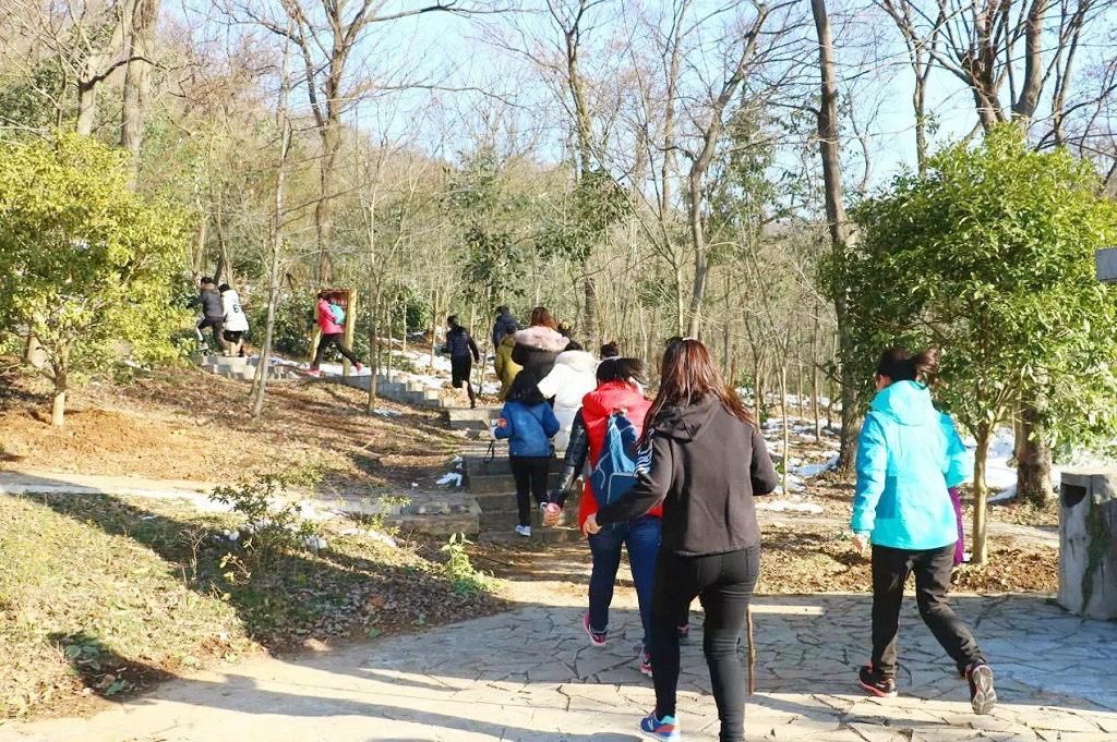  重阳节|重阳节为什么要登高呢？古代重阳节“登高”背后的寓意