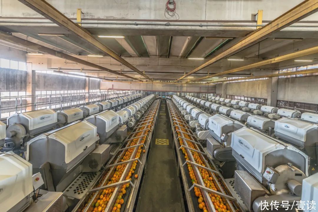 橙汁|运动之后为什么不推荐喝白水？