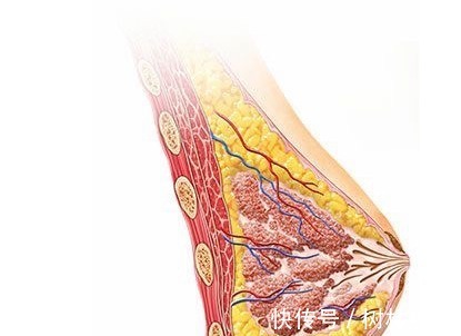 科室|结节、息肉、囊肿、增生哪个最可能癌变这么多年疑惑终于解开了