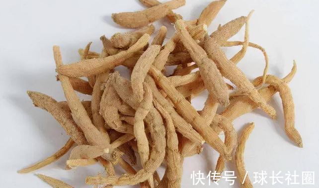 进补|一补就上火,虚不受补怎么办?简单一味中药,健脾养胃,补气生津