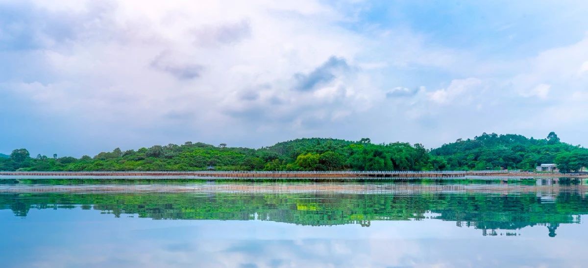 合景泰富集团|实地测评|合景荔湖第三子即将首开,吹风价2.2万/平起