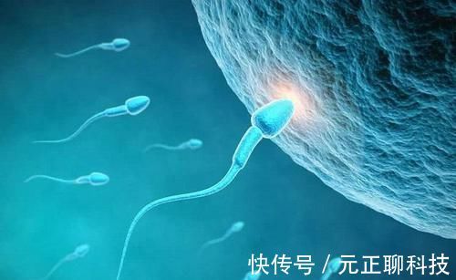 因素|女性怀孕太不易?算好2个时间,把握4个因素,“好孕”自然来
