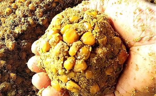 钓草鱼还可以钓底，钓草鱼一定要看准位置，还有以下几个建议，晚春钓草鱼