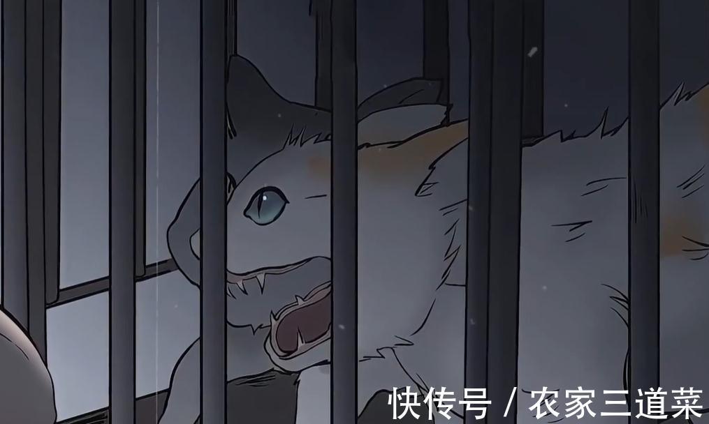 小姐姐|人性动漫:女主播假扮猫咪,爆红网络,殊不知她在人后却是魔鬼